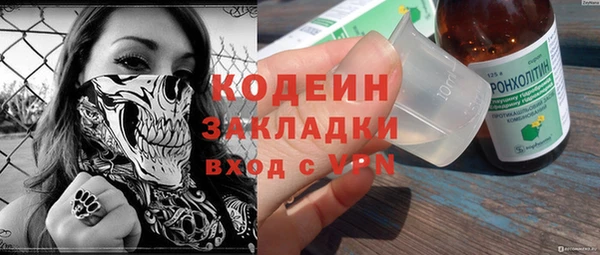 ПСИЛОЦИБИНОВЫЕ ГРИБЫ Абаза
