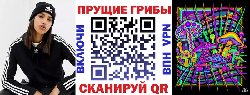 Псилоцибиновые грибы GOLDEN TEACHER  Сыктывкар 